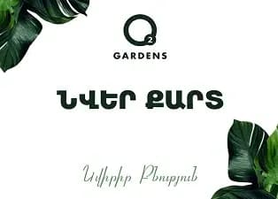 Նվեր քարտ