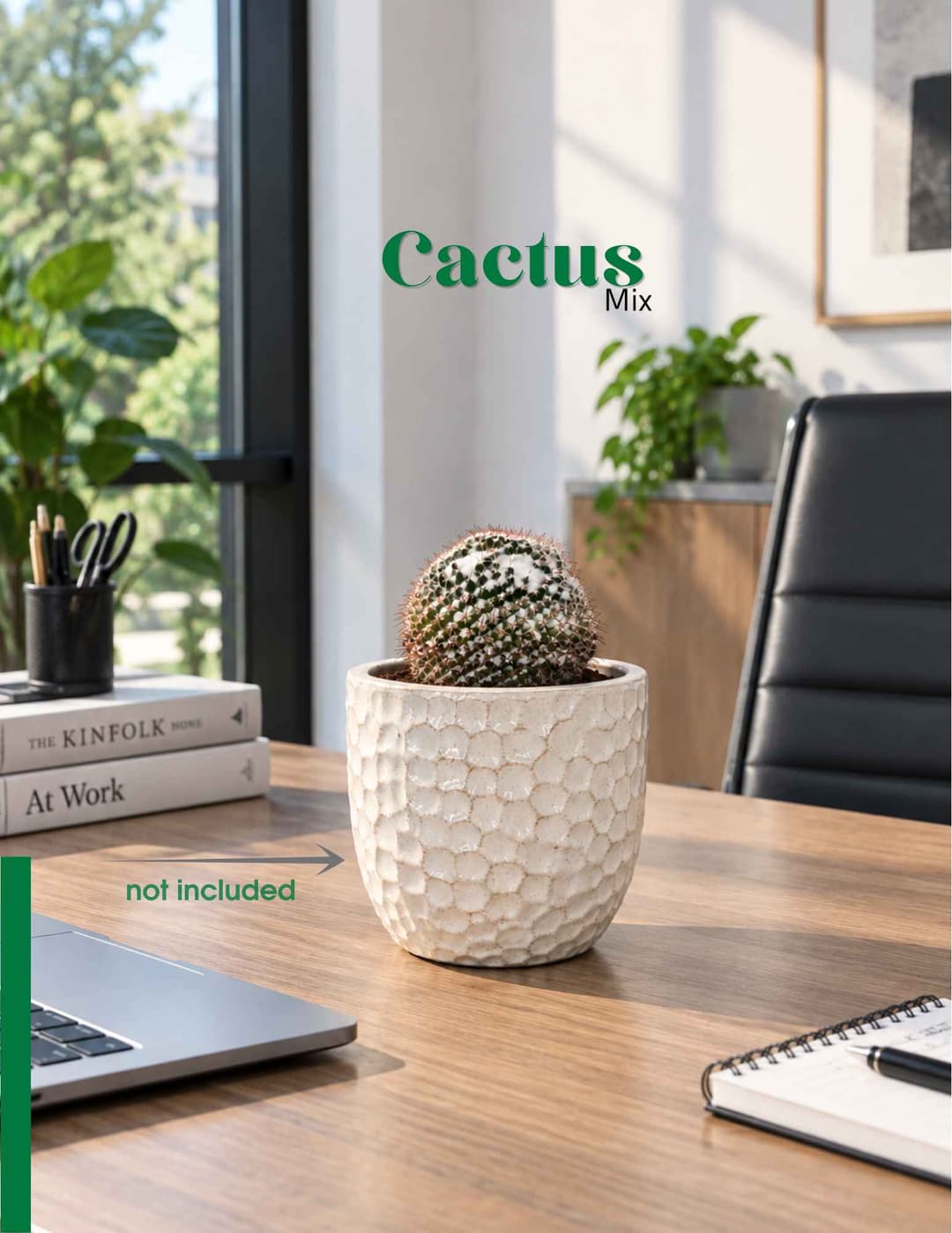 Կակտուս / Кактус / Cactus mix